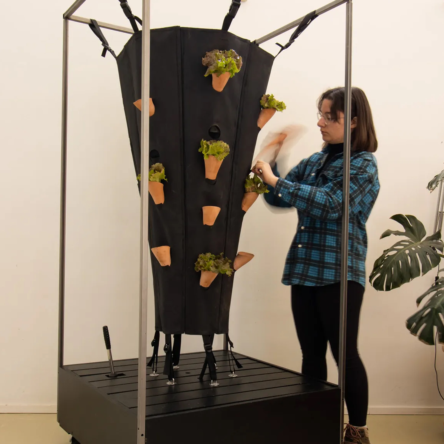 The Urban GreenNest